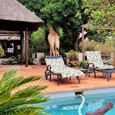 Graceland Eco Retreat มาโฮบาสโกลฟ ภายนอก รูปภาพ