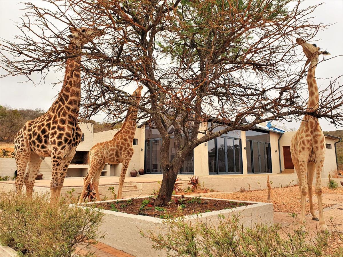 Graceland Eco Retreat มาโฮบาสโกลฟ ภายนอก รูปภาพ