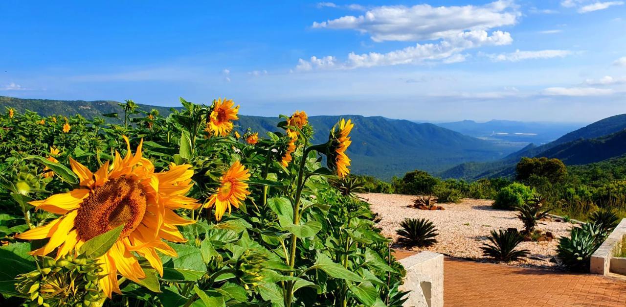 Graceland Eco Retreat มาโฮบาสโกลฟ ภายนอก รูปภาพ