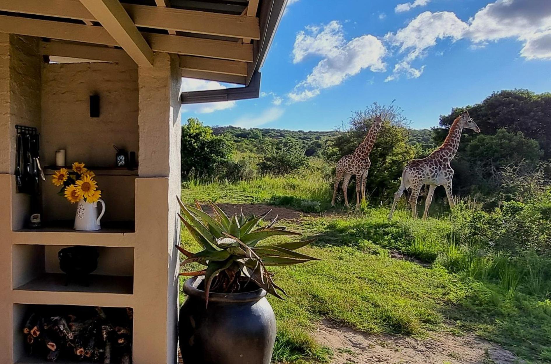 Graceland Eco Retreat มาโฮบาสโกลฟ ภายนอก รูปภาพ