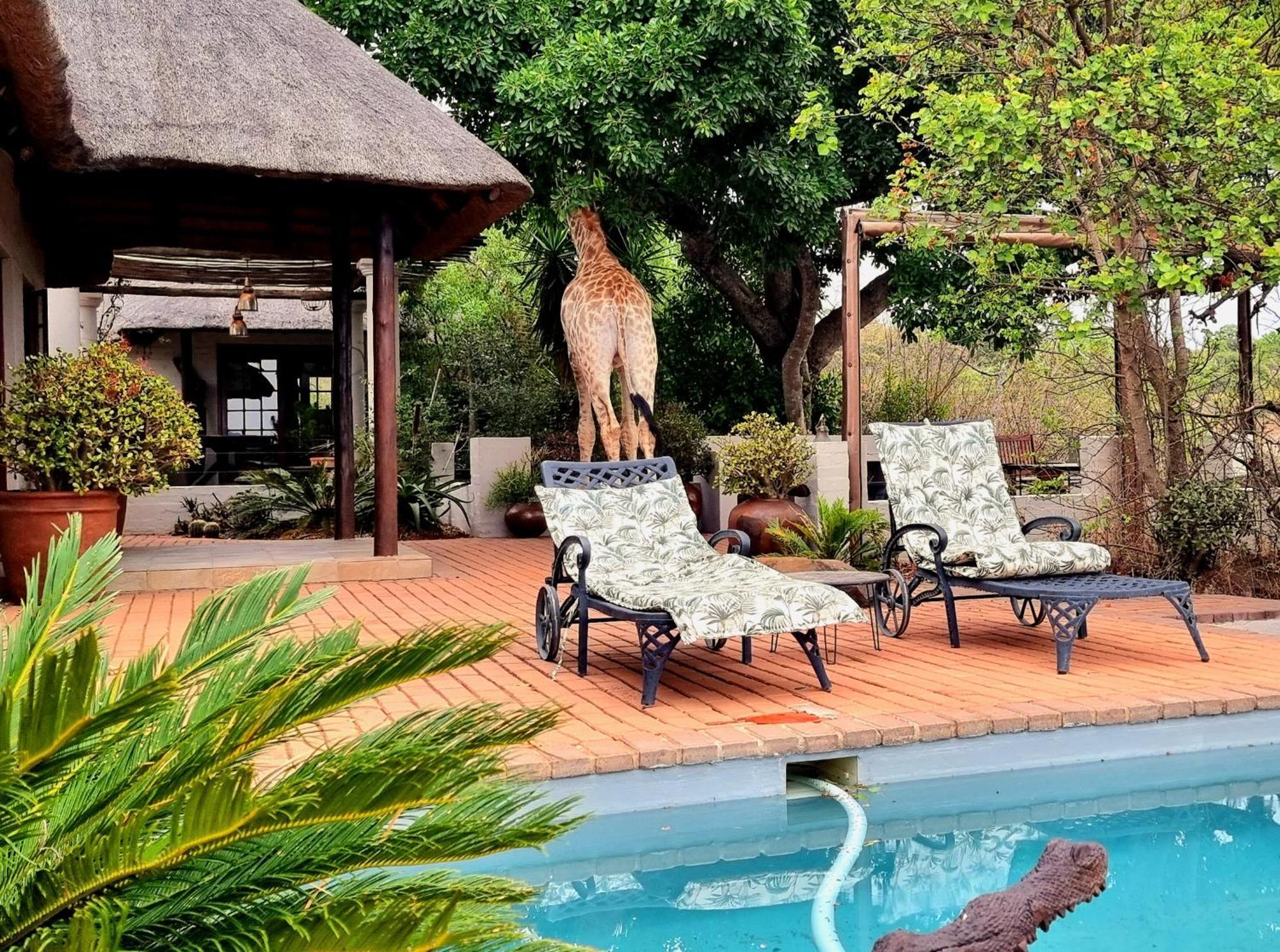 Graceland Eco Retreat มาโฮบาสโกลฟ ภายนอก รูปภาพ